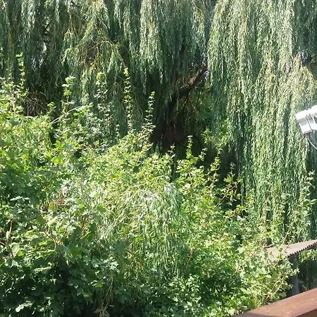 Apartament Vakacio *