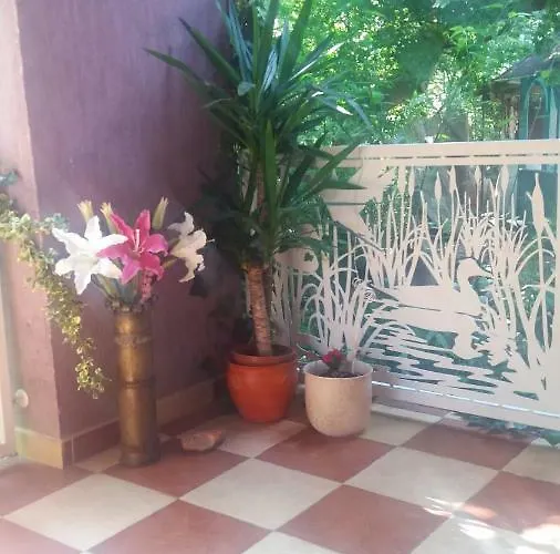 Vakacio Balatonalmádi