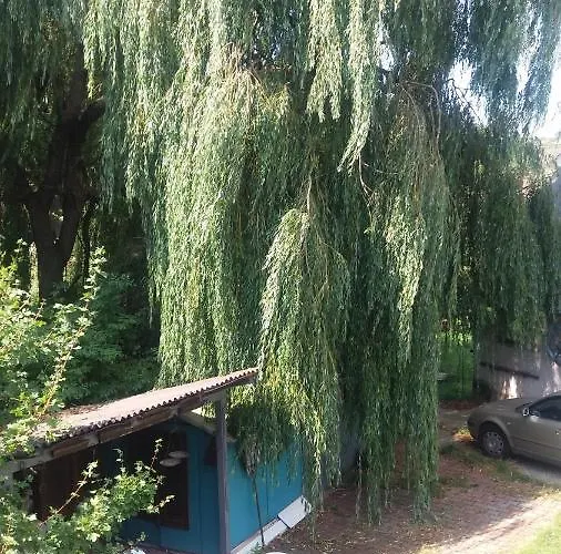 Vakacio * Balatonalmádi